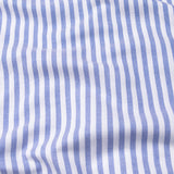 Armin Blue Stripe Oxford Cotton Mandarin Shirt
